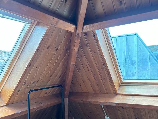 Kamer te huur in Binnenstad Centrum, Bosch