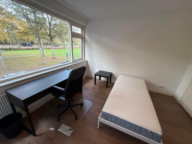 Kamer te huur in Prinsejagt, Olland