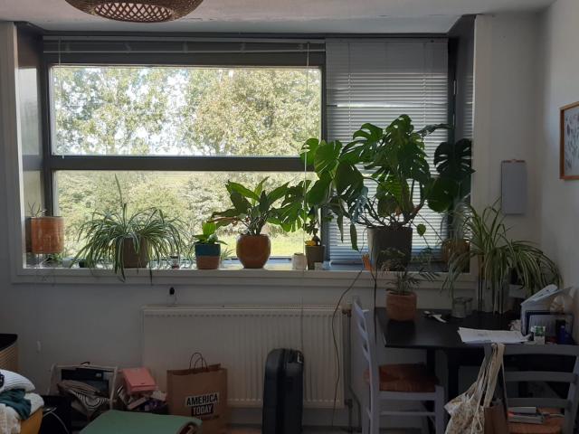 Kamer te huur in Leiderdorp, Zuid Holland