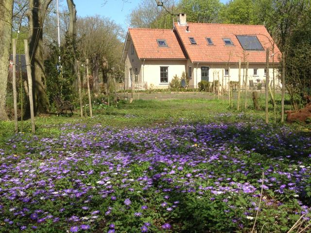 Kamer te huur in Oostvoorne, Zuid Holland