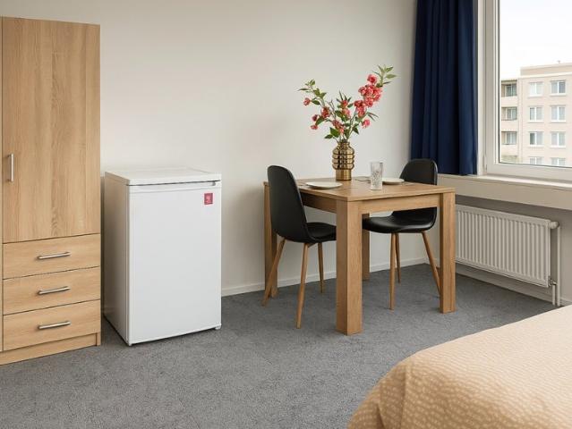 Kamer te huur in Rijswijk