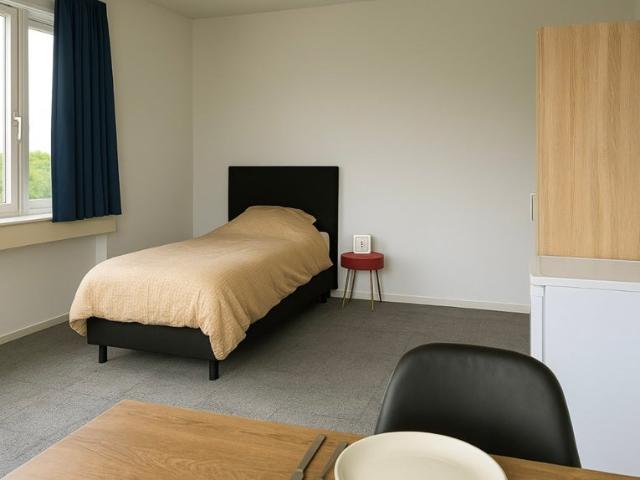 Kamer te huur in Rijswijk, Zuid Holland