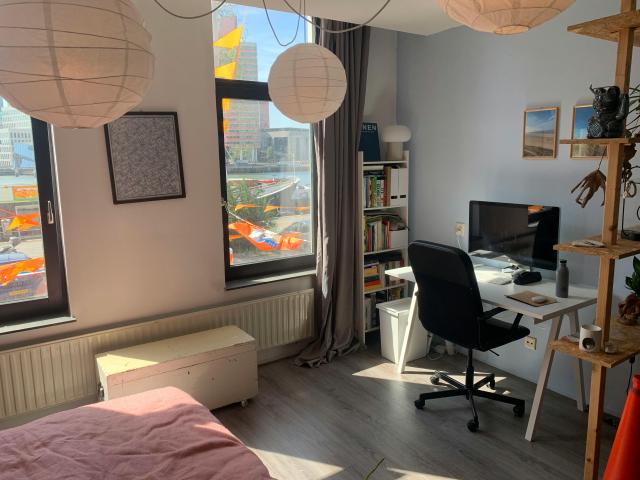Kamer te huur in Noordereiland, Rotterdam