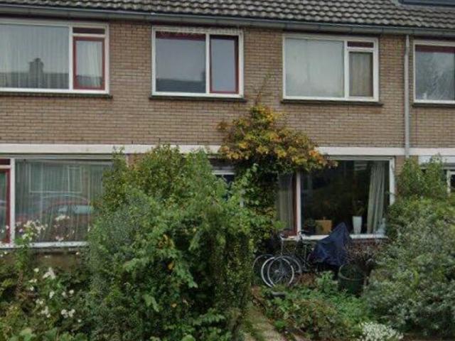 Kamer te huur in Ommoord, Rotterdam