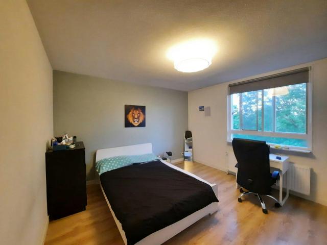 Kamer te huur in Prinsenland, Rotterdam