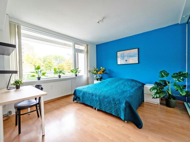 Kamer te huur in Het Lage Land, Rotterdam