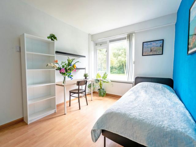 Kamer te huur in Het Lage Land, Rotterdam
