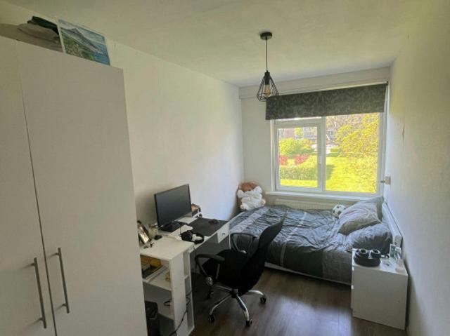 Kamer te huur in IJsselmonde, Rotterdam