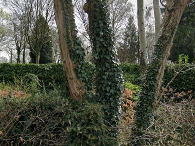Kamer te huur in Wageningen, Gelderland