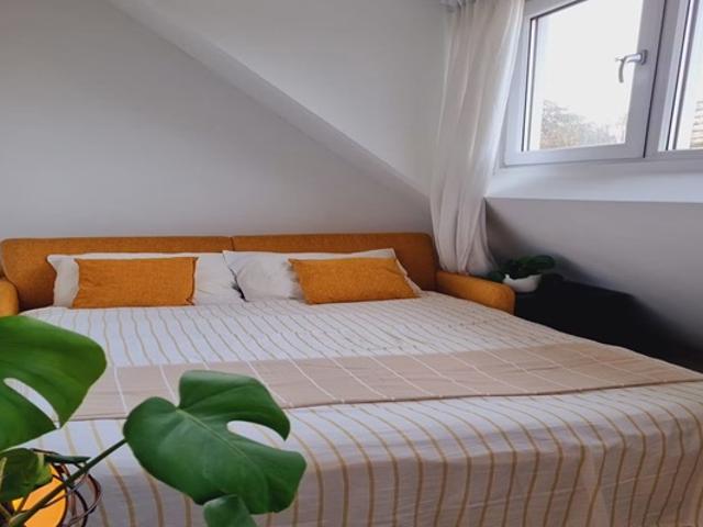 Kamer te huur in Holy-Zuid, Vlaardingen