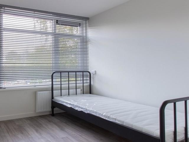 Kamer te huur in Noord, Amsterdam
