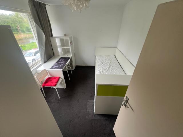 Kamer te huur in Paddepoel-Noord, Groningen