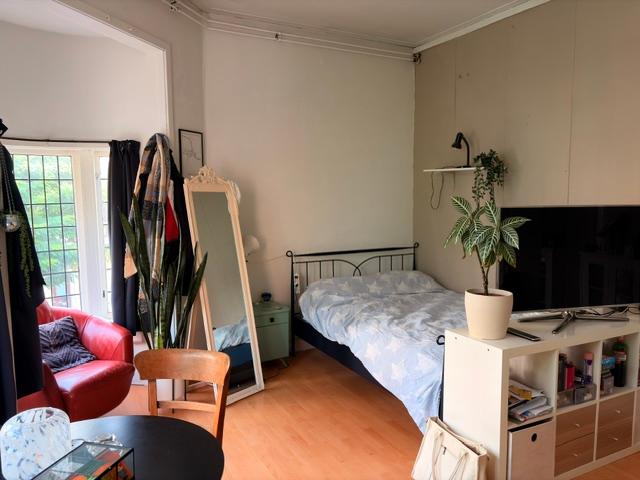 Kamer te huur in Schuitenschuiverskwartier, Groningen
