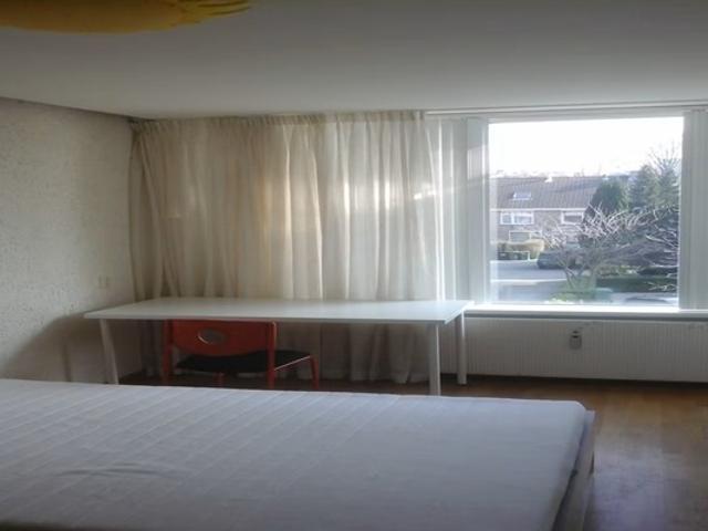Kamer te huur in Kralingen-Oost, Rotterdam
