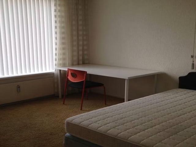 Kamer te huur in Kralingen-Oost, Rotterdam