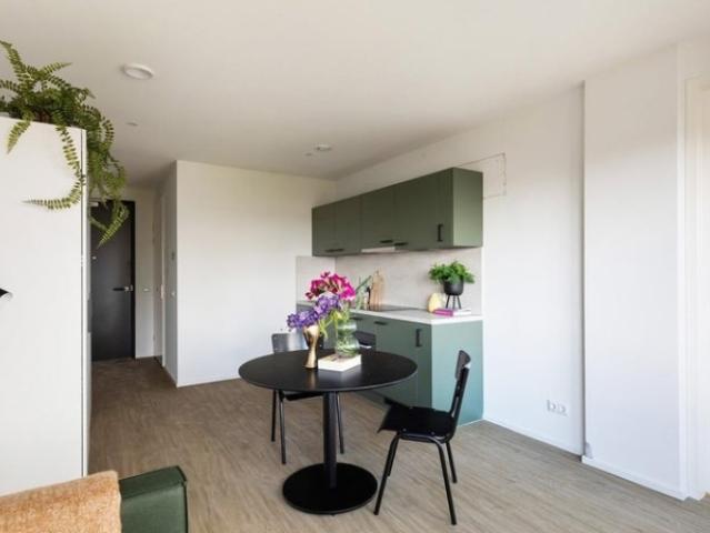 Appartement te huur in Rotterdam, Zuid Holland