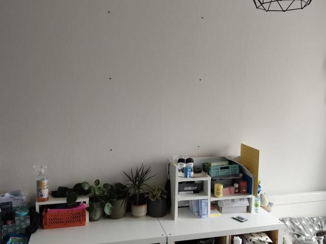 Kamer te huur in Oud Oost, Leeuwarden