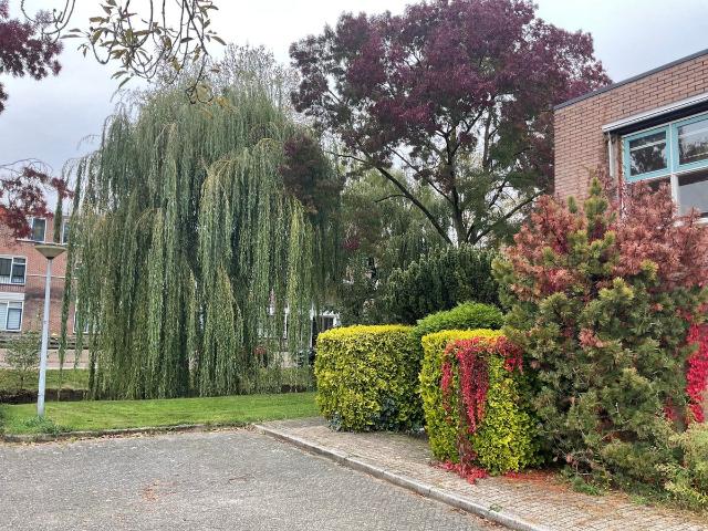 Kamer te huur in Huizen, Noord Holland