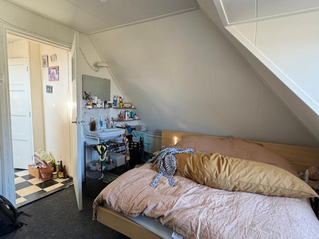 Kamer te huur in Centrum, Arnhem