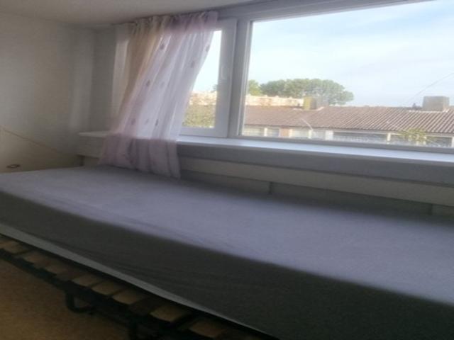 Kamer te huur in Haarlem, Noord Holland