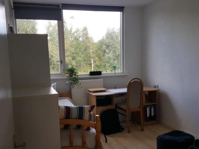Kamer te huur in Bilgaard, Leeuwarden