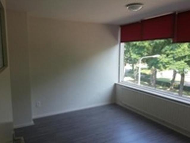 Kamer te huur in Tilburg, Noord Brabant