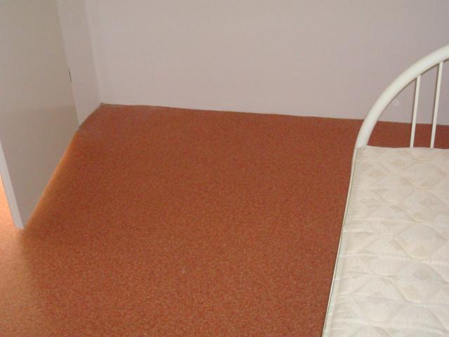 Kamer te huur in Arnhem, Gelderland