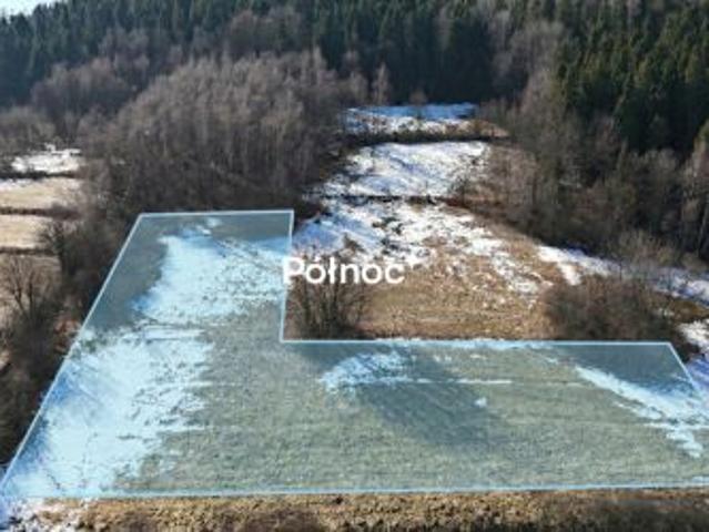 Grunt na sprzedaż w Kamienica, Małopolskie