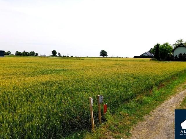 Grunt na sprzedaż w Bieruń, Śląskie