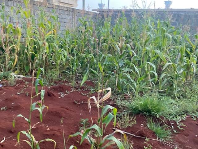 Land for sale in Kiambu Town, Kiambu