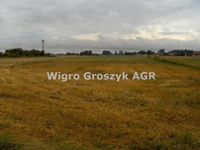 Grunt na sprzedaż w Kampinos, Mazowieckie