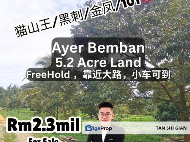 House for sale in Ayer Bemban, Johor