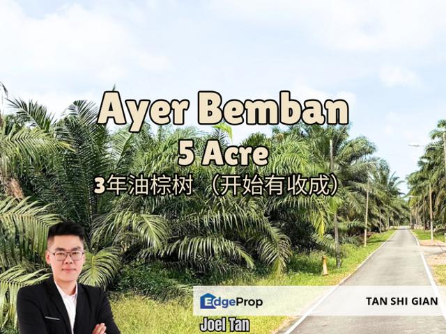 House for sale in Ayer Bemban, Johor