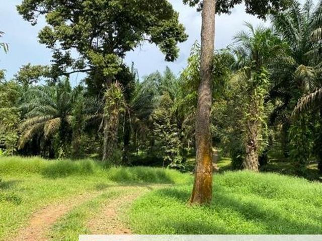 Shop for sale in Mersing, Johor