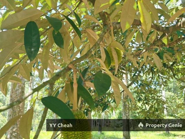 Property for sale in Perak, Kuala Kangsar