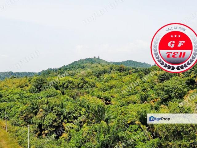 House for sale in Junjong, Kedah