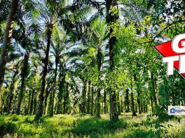 House for sale in Junjong, Kedah