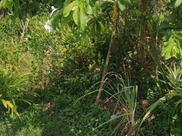 House for sale in Kulai, Johor