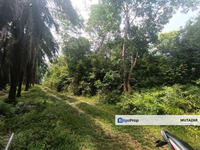 House for sale in Kerdau, Temerloh