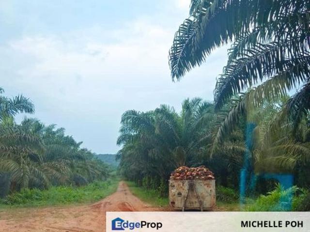 Shop for sale in Kluang, Johor