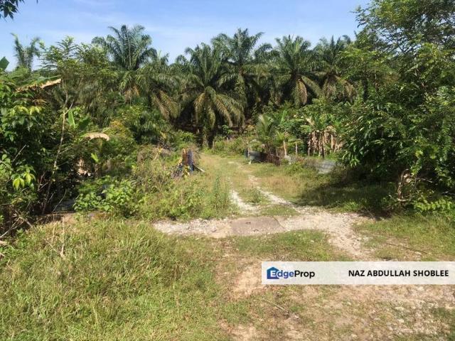 Shop for sale in Tringganu