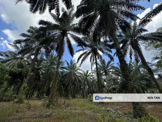 Warehouse for sale in Jenjarom, Selangor