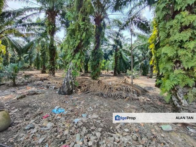 Warehouse for sale in Jenjarom, Selangor