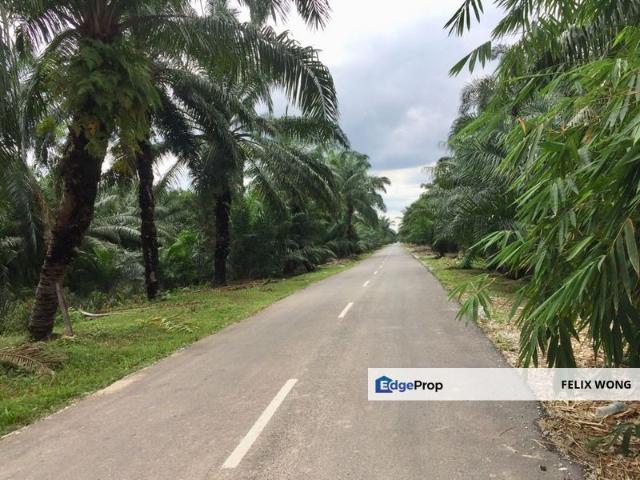 Warehouse for sale in Jenjarom, Selangor