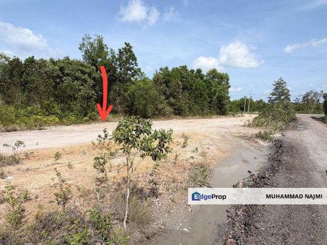 House for sale in Tringganu