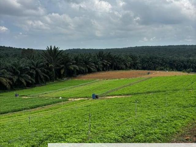 Shop for sale in Sepang, Tanjong Sepat
