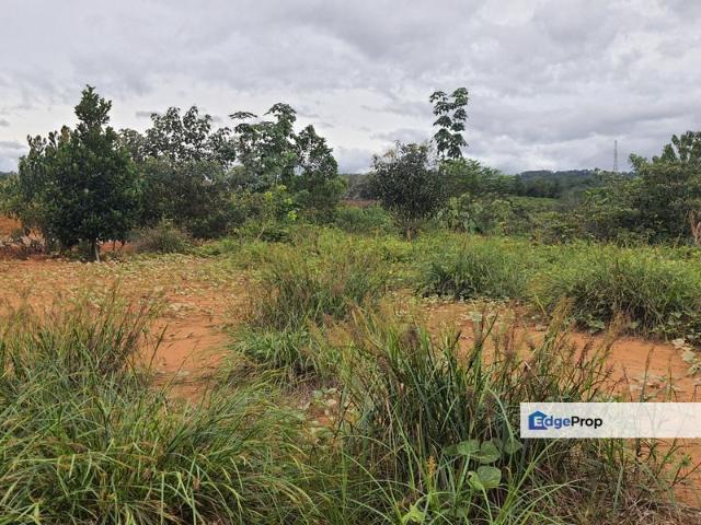 House for sale in Tanjong Sepat, Selangor