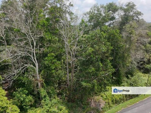House for sale in Cukai, Negeri Terengganu