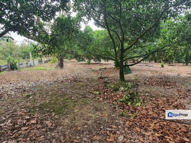 Shop for sale in Mantin, Seremban
