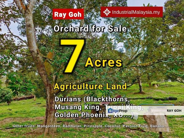 Shop for sale in Mantin, Negeri Sembilan